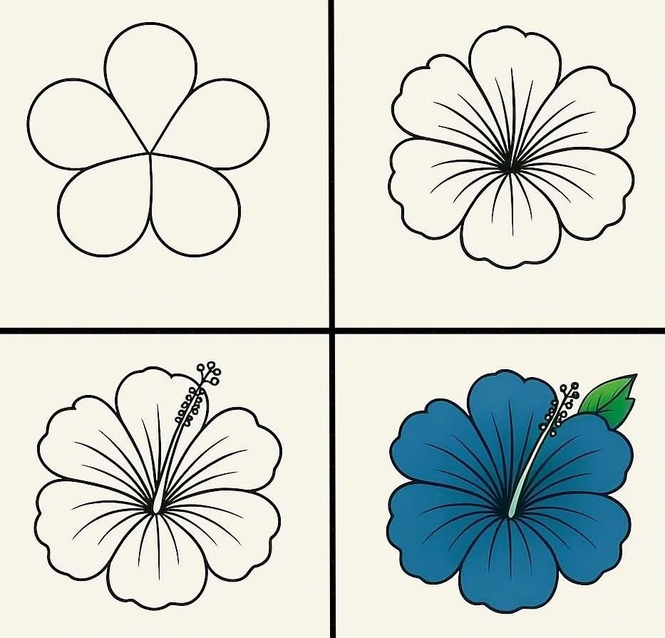 Desenho de Flores: Flor Hibisco para desenhar