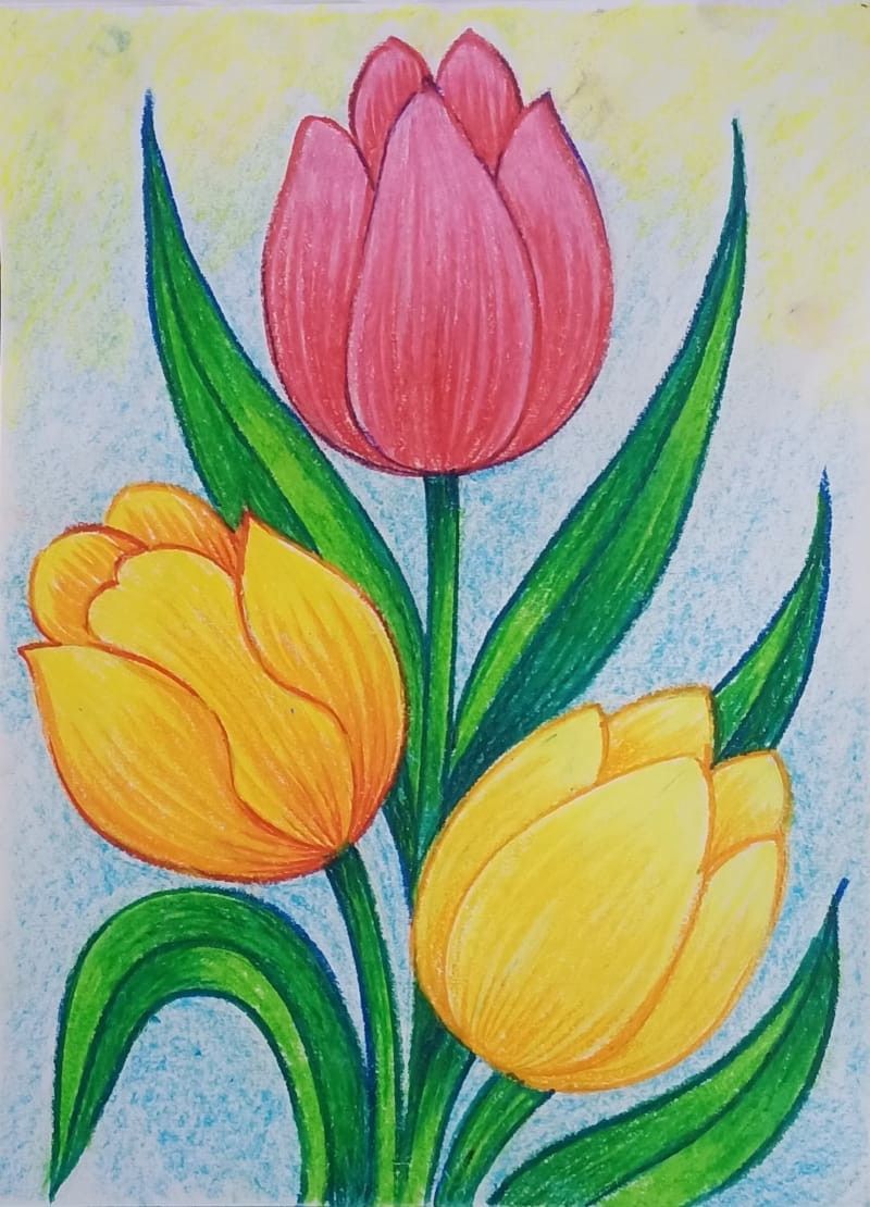 Desenho de Flores: Tulipas coloridas para desenhar