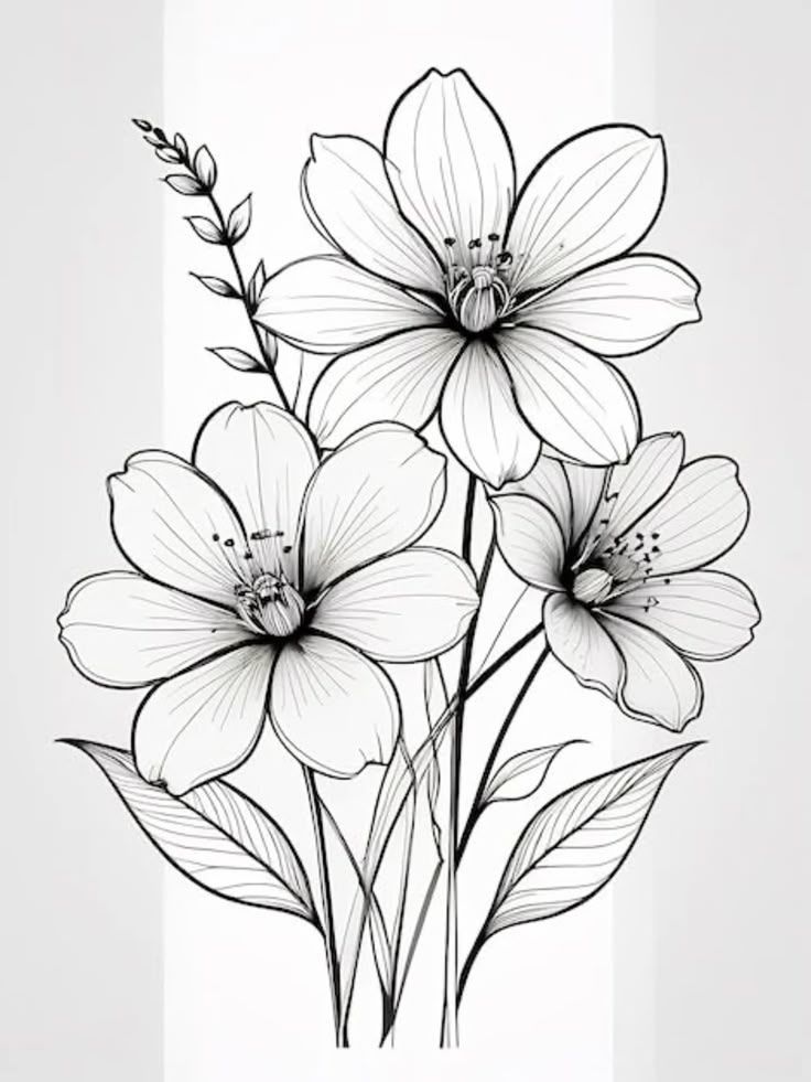 Desenho de Flores: Flor Simples para desenhar