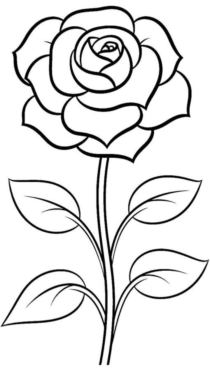 Desenho de Flores: Rosa para desenhar
