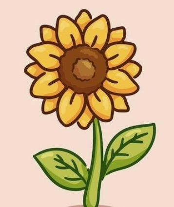 Desenho de Flores: Girassol para desenhar