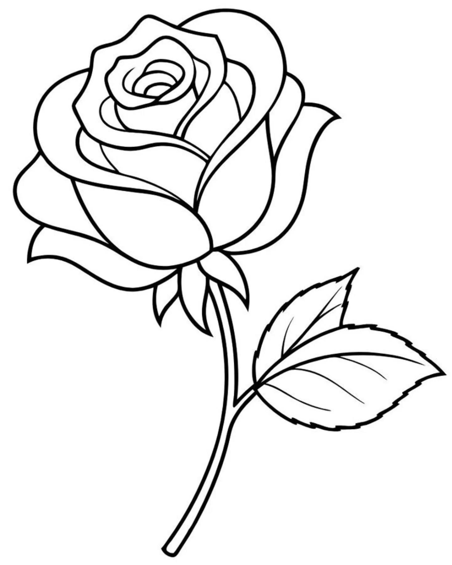Desenho de Flores: Rosa realista para desenhar