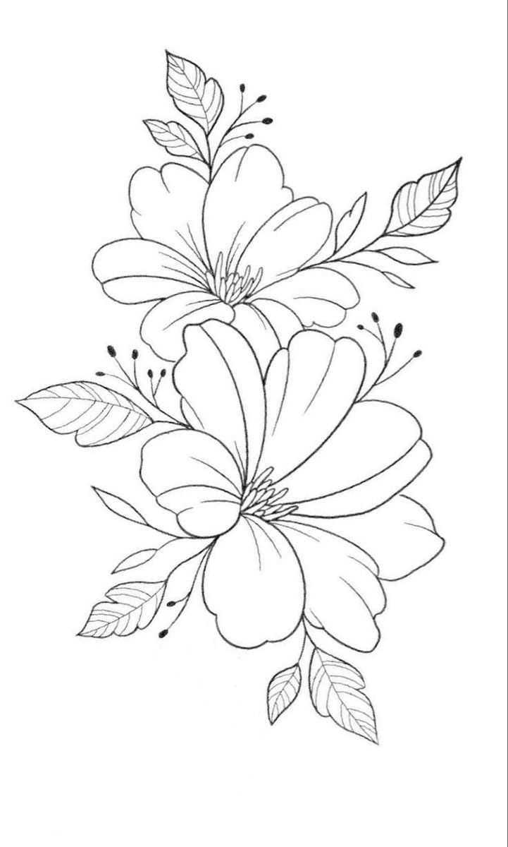 Desenho de Flores: Flores simples para desenhar a lápis