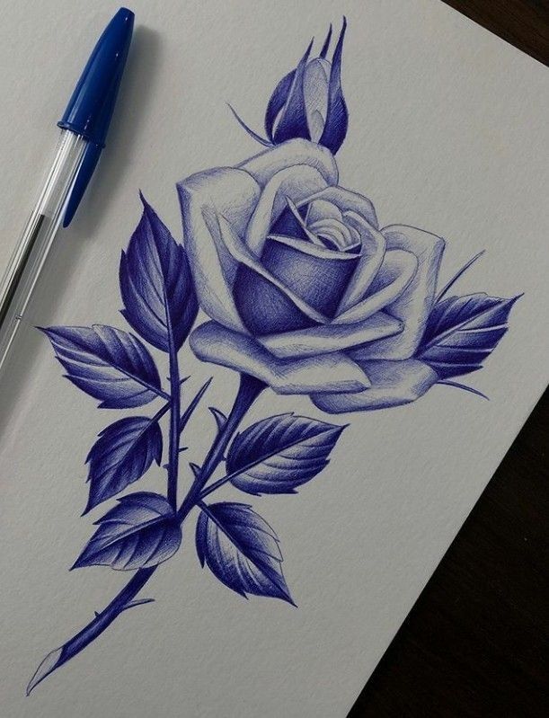 Desenho de Flores: Rosa azul para desenhar