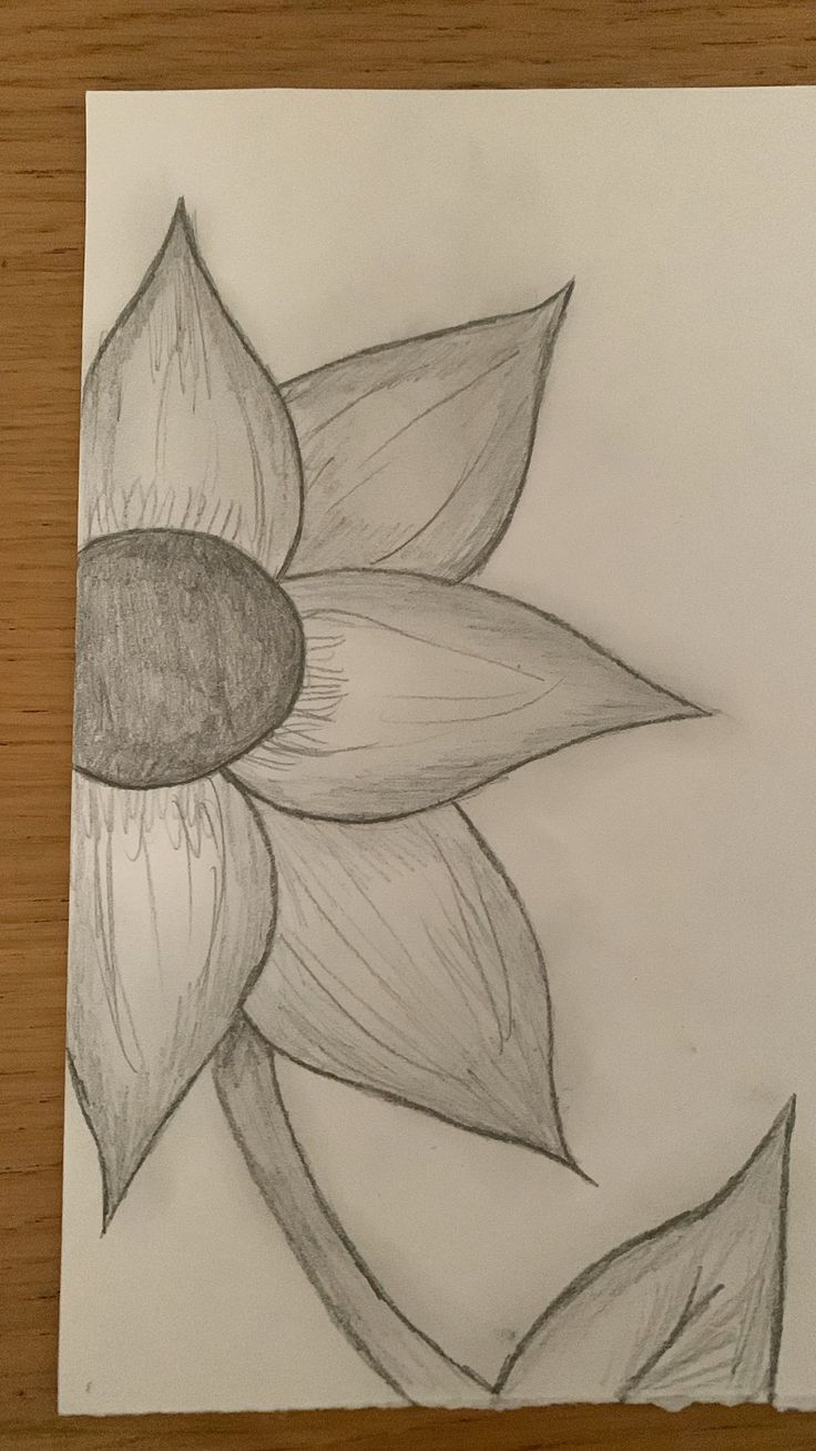 Desenho de Flores: Girassol para desenhar