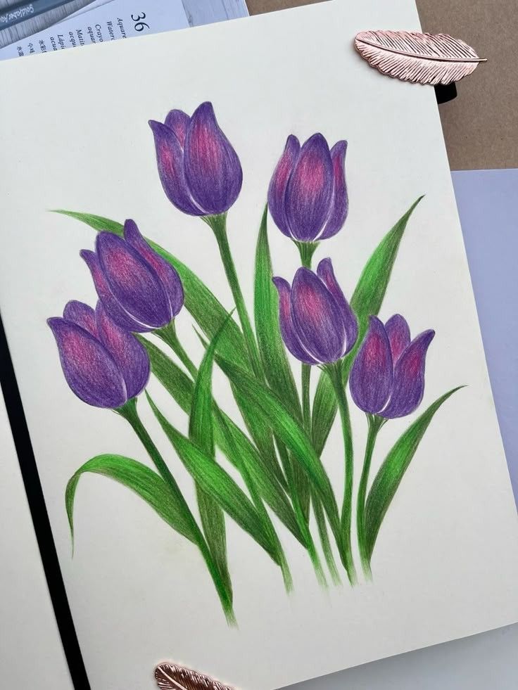 Desenho de Flores: Tulipas para desenhar