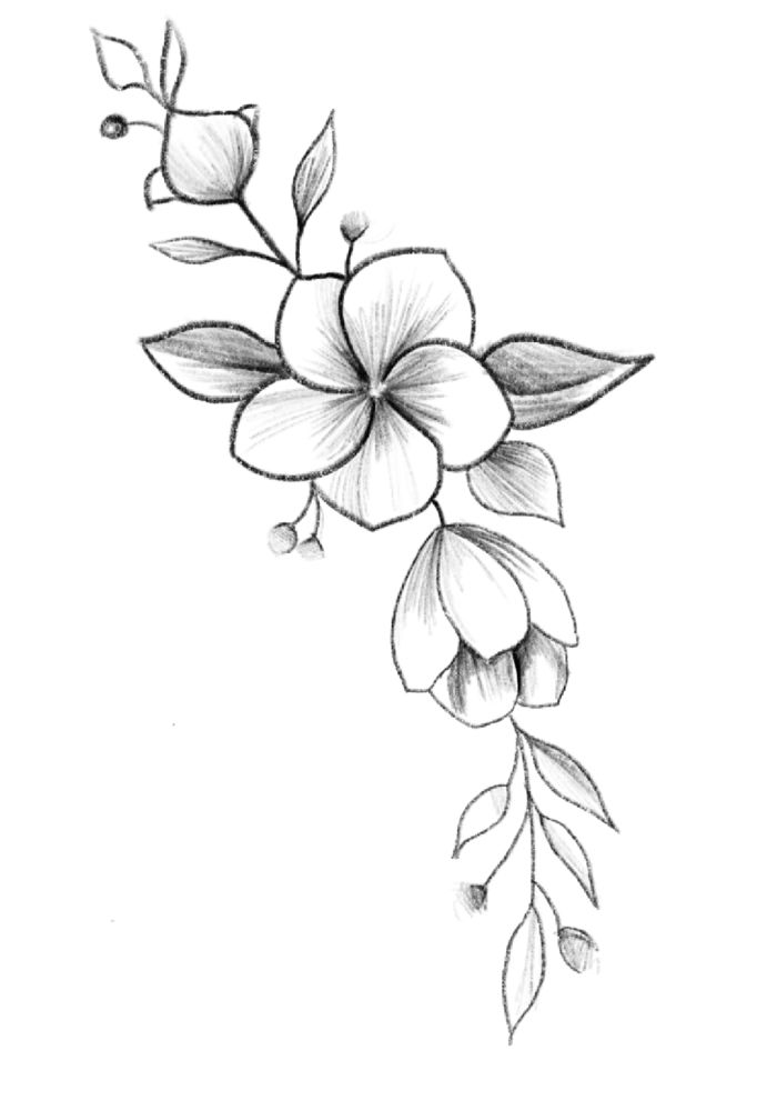 Desenho de Flores: Flor Simples para desenhar