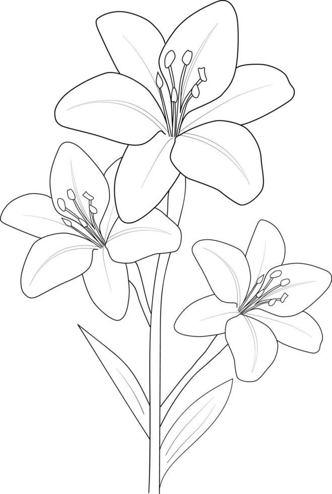 Desenho de Flores: Lírios para desenhar de forma fácil