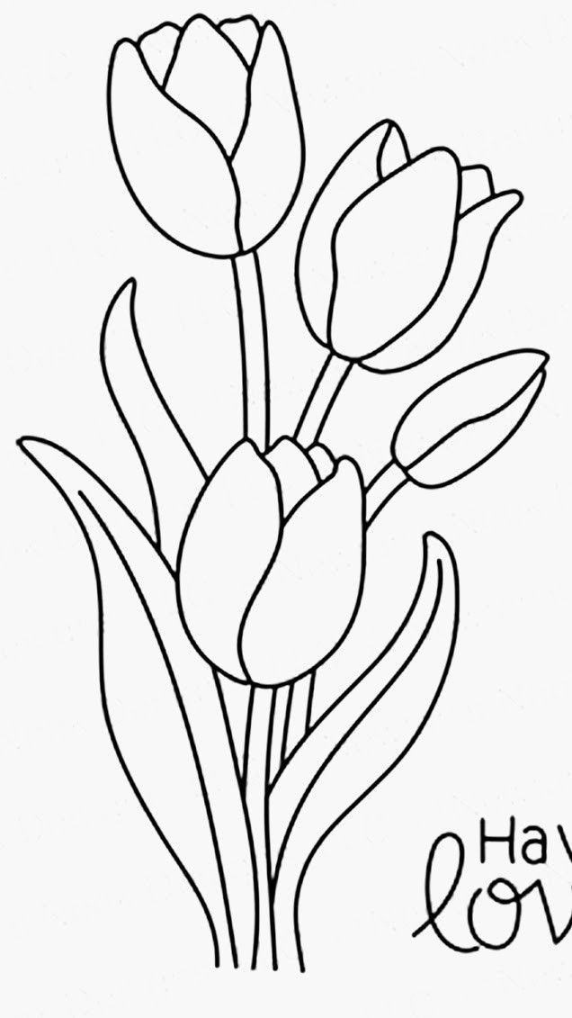 Desenho de Flores: Tulipas para desenhar
