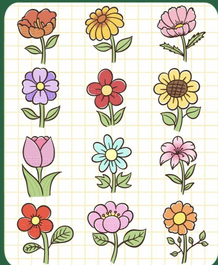 Desenho de Flores: Várias Flores Simples para desenhar
