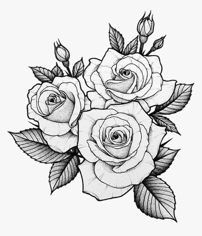 Desenho de Flores: Rosas para desenhar