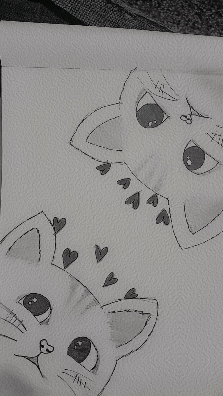 Desenho de Gato: Gatos Fofos com Corações para desenhar