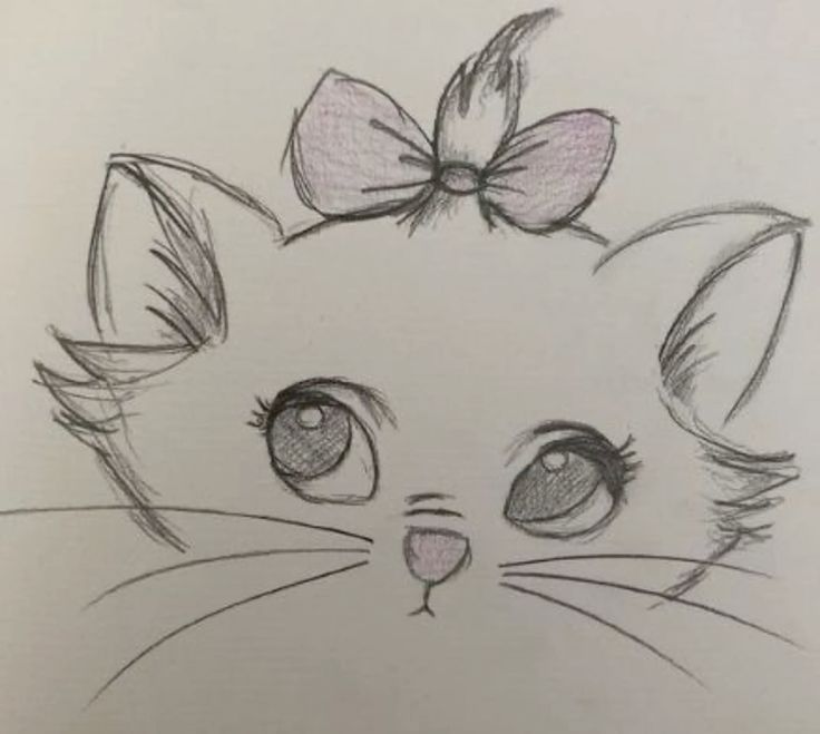 Desenho de Gato: Gato Fofa com Laço para desenhar