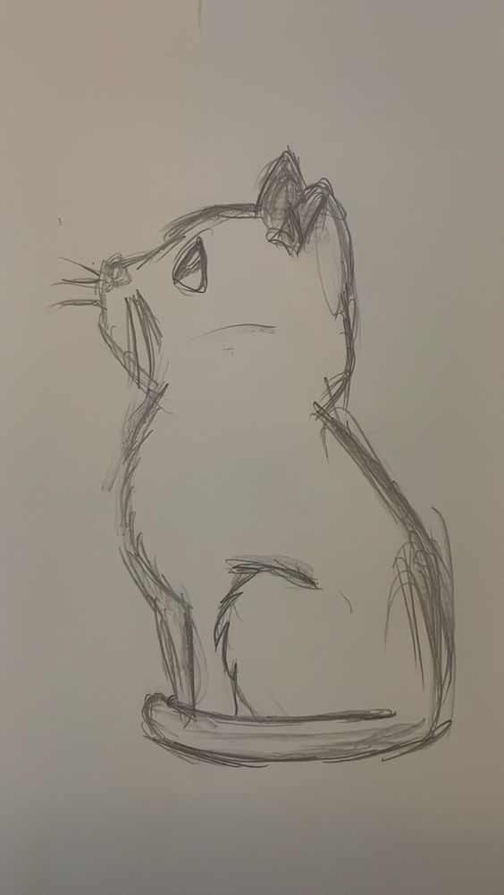 Desenho de Gato: Gato Simples a Lápis para desenhar