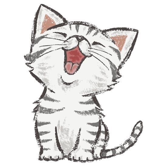 Desenho de Gato: Gato Fofo sorrindo para desenhar