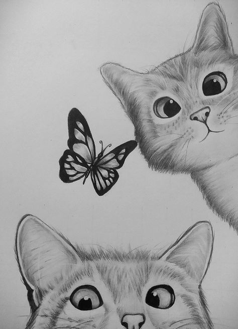 Desenho de Gato: Gato Fofo e Borboleta para desenhar