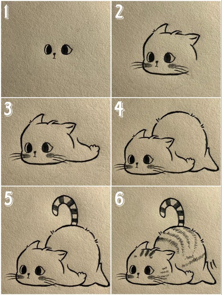 Desenho de Gato: Passo a passo de gato fofo para desenhar