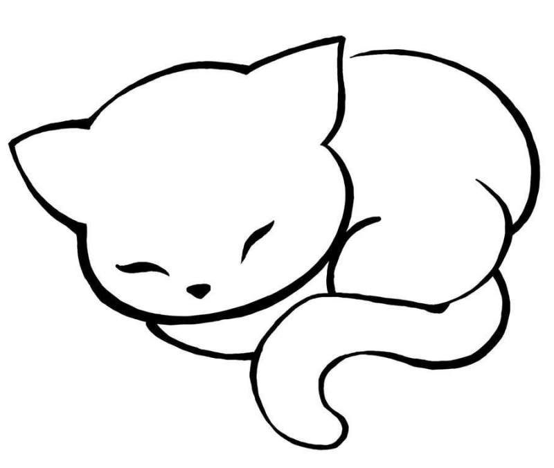 Desenho de Gato: Gato Fofinho dormindo para desenhar