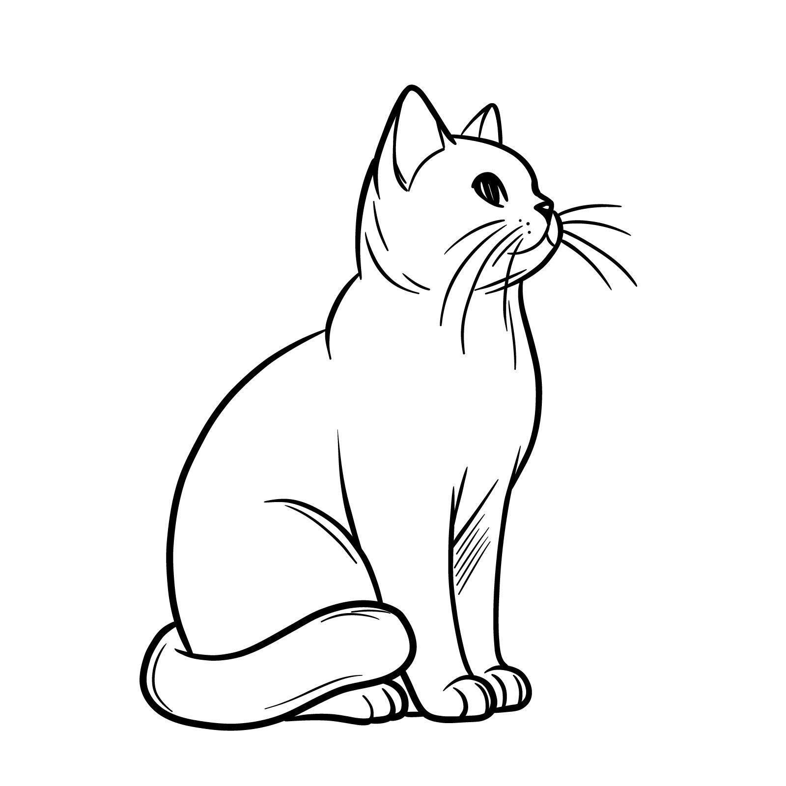 Desenho de Gato: Gato Realista a Lápis para desenhar