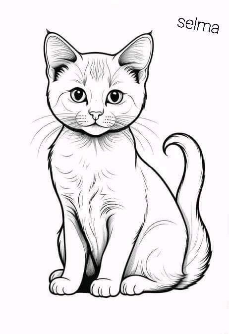 Desenho de Gato: Gato Realista a Lápis para desenhar