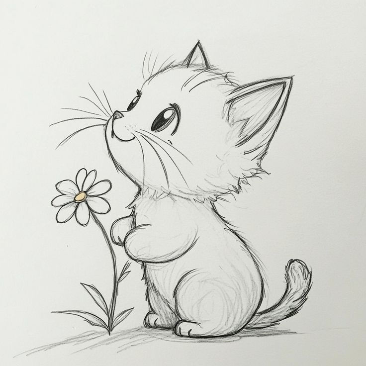 Desenho de Gato: Gato Fofo com Flor para desenhar