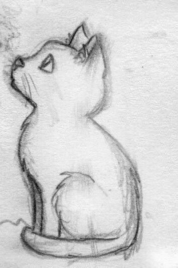Desenho de Gato: Gato Simples e Fofo a Lápis para desenhar