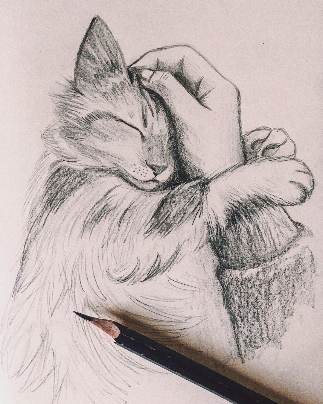 Desenho de Gato: Gato Fofinho sendo acariciado a lápis