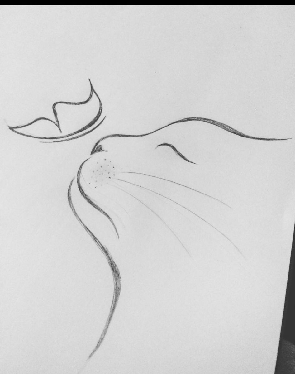 Desenho de Gato: Gato Realista a Lápis para desenhar