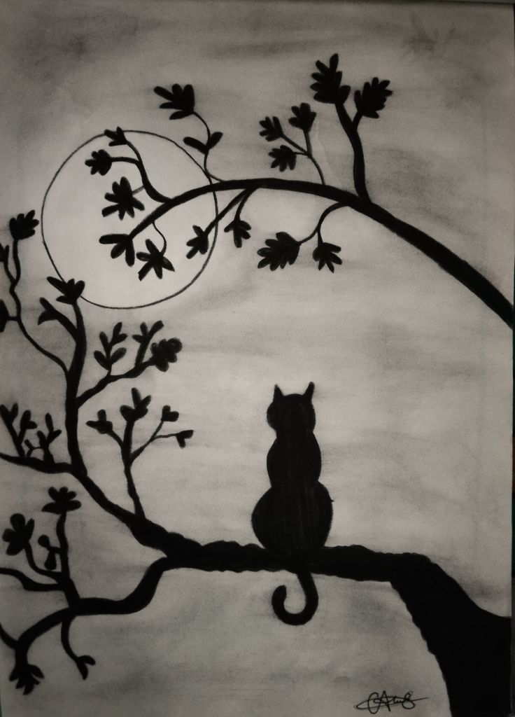 Desenho de Gato: Silhueta de gato em árvore à noite