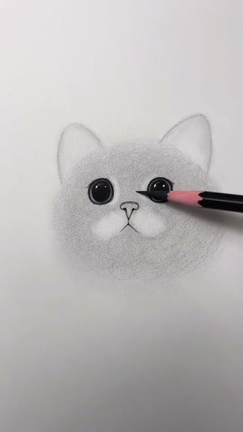 Desenho de Gato: Cabeça de gato fofa a lápis