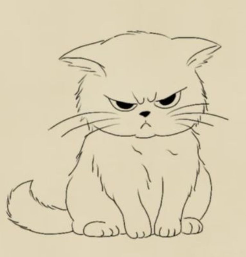 Desenho de Gato: Gato com expressão séria para desenhar