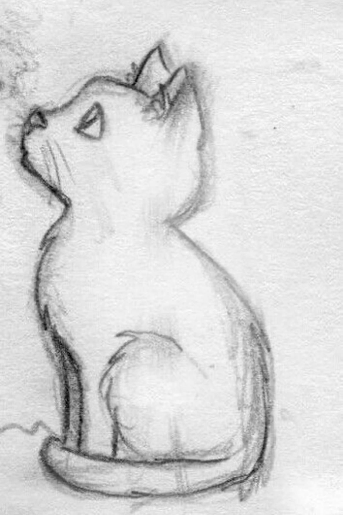 Desenho de Gato: Gato Simples a Lápis para desenhar