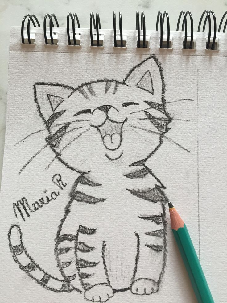 Desenho de Gato: Gato Feliz a Lápis para desenhar