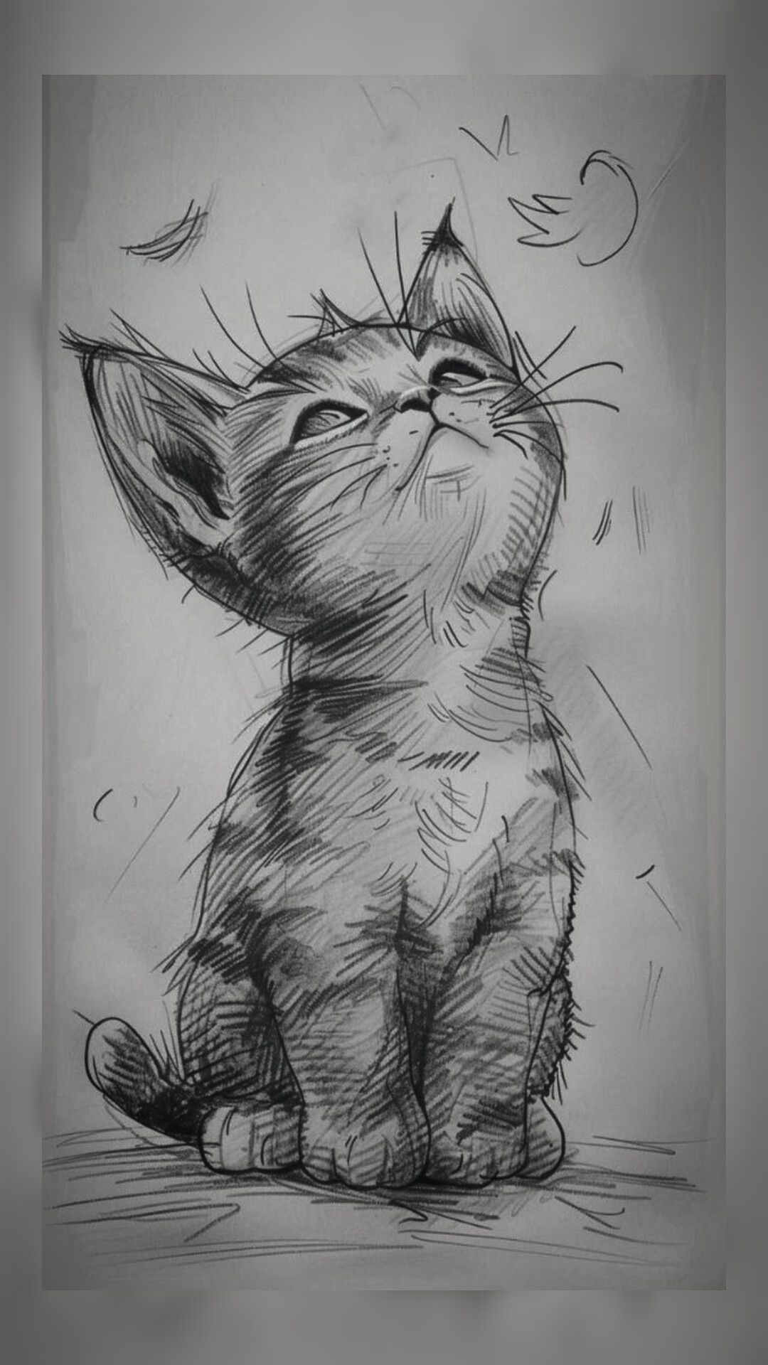 Desenho de Gato: Gato Realista a Lápis para desenhar