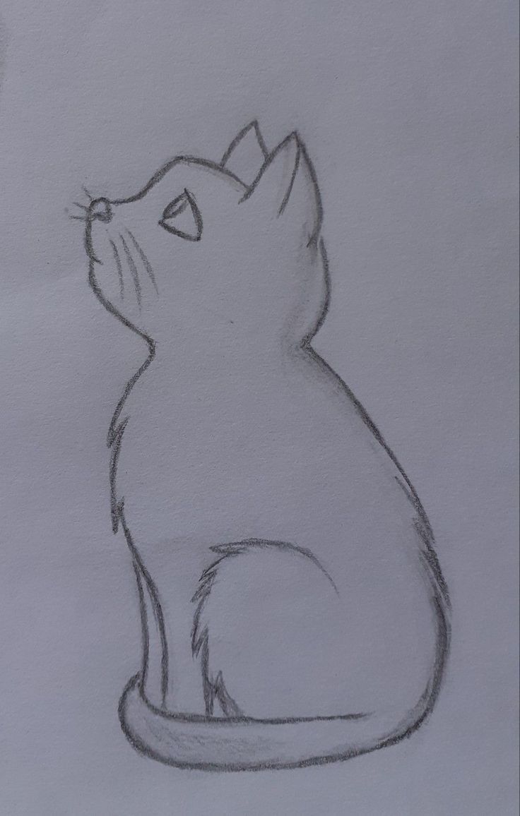 Desenho de Gato: Gato Realista a Lápis para desenhar