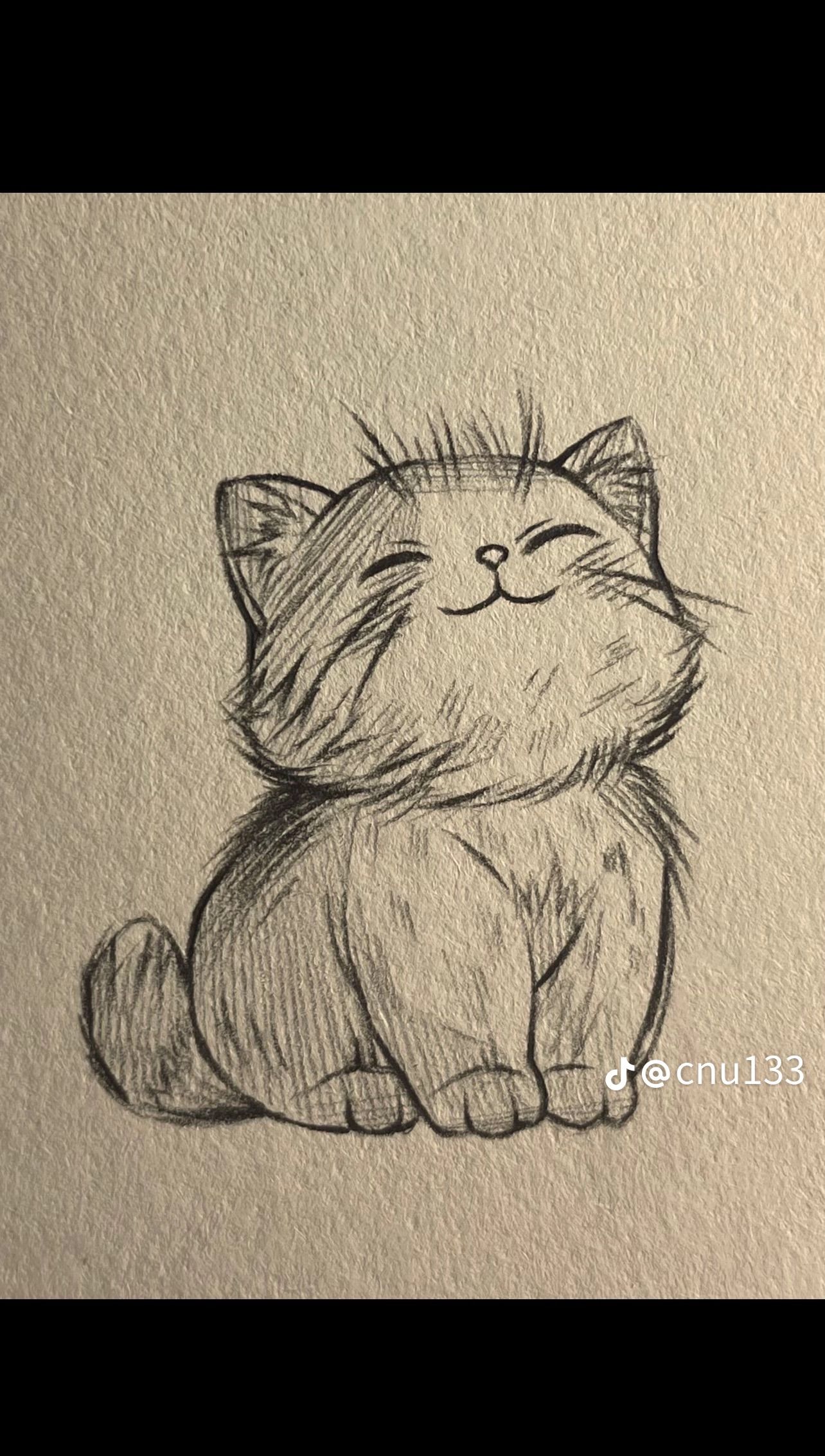 Desenho de Gato: Gato Fofo a Lápis para desenhar