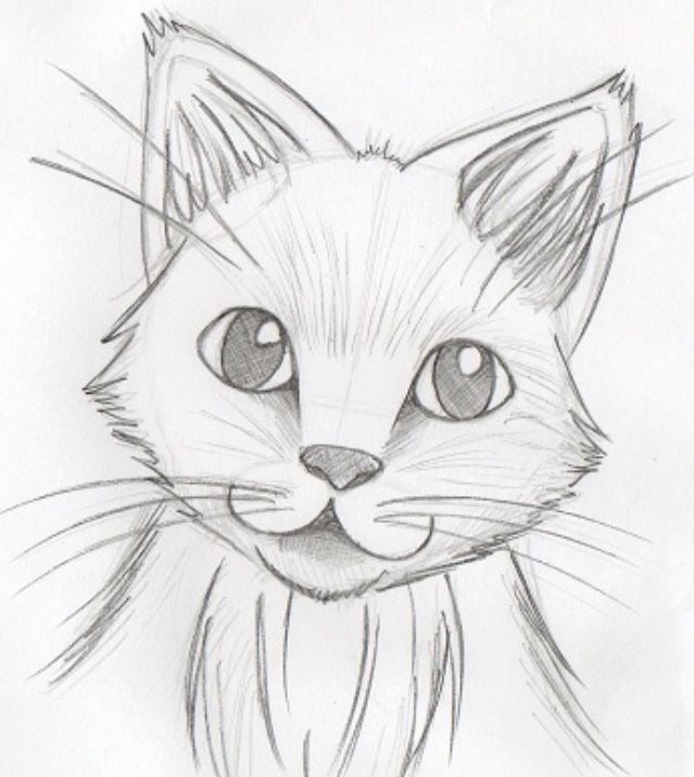 Desenho de Gato: Gato Realista a Lápis para desenhar