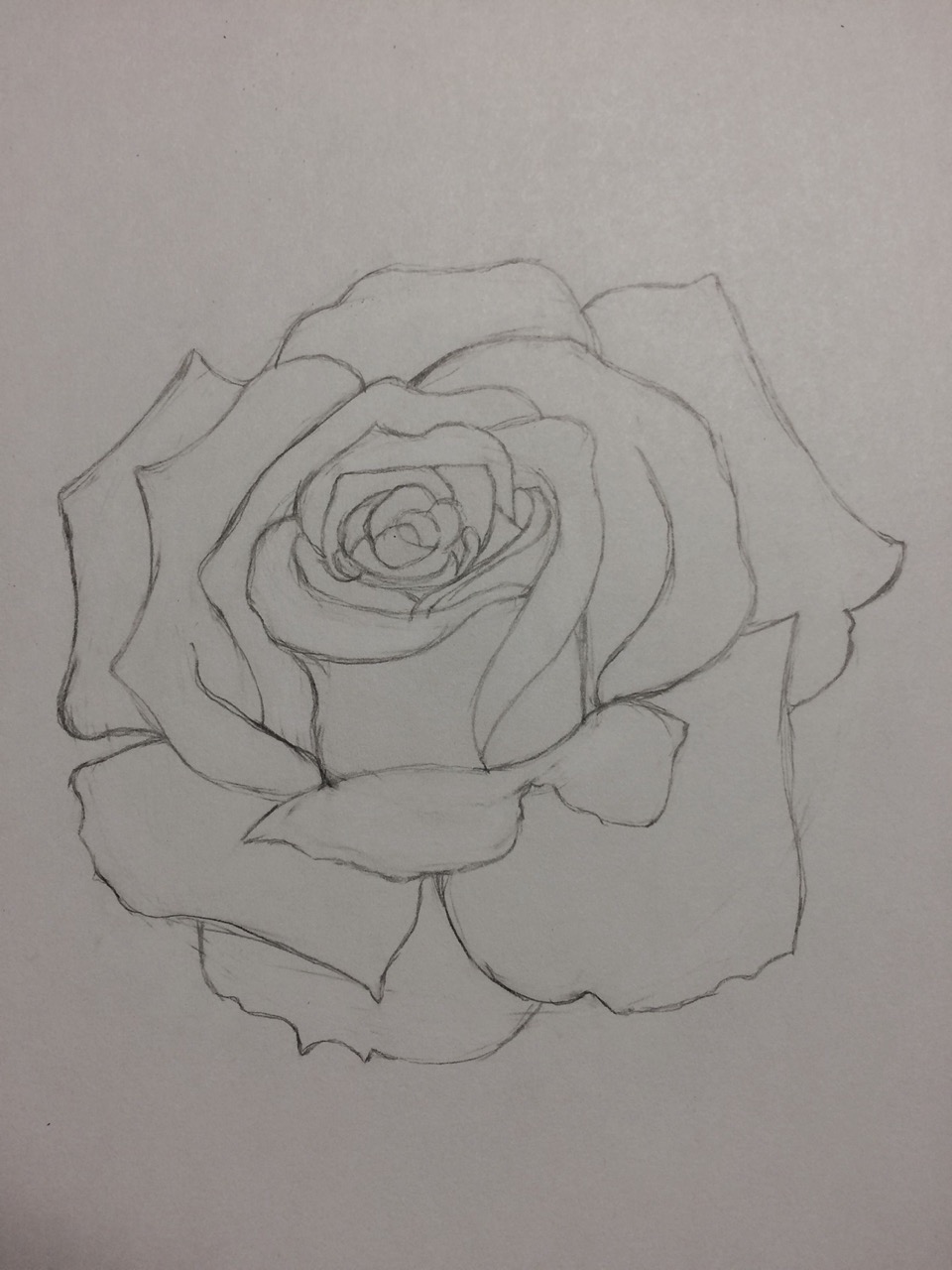 Desenho de Rosa: rosa simples e realista a lápis para desenhar