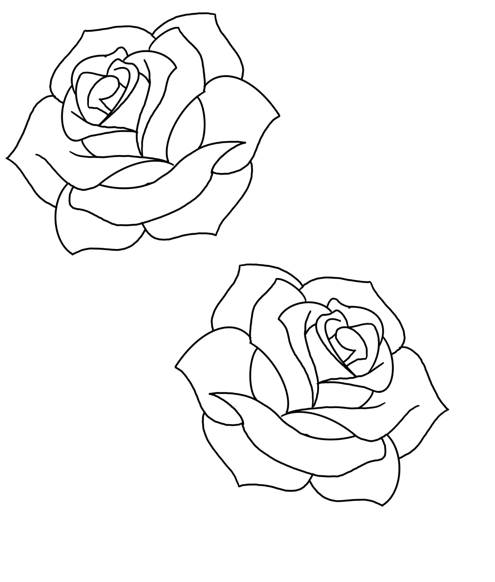 Desenho de Rosa: duas rosas simples para desenhar