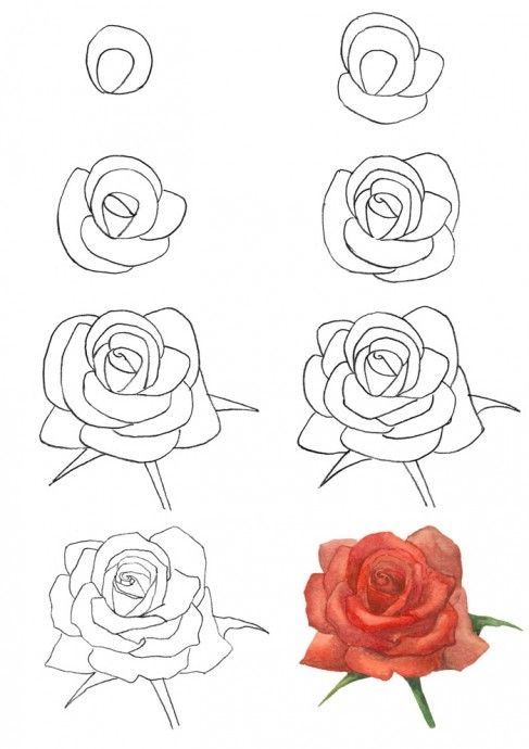 Desenho de Rosa: passo a passo de como desenhar rosa a lápis