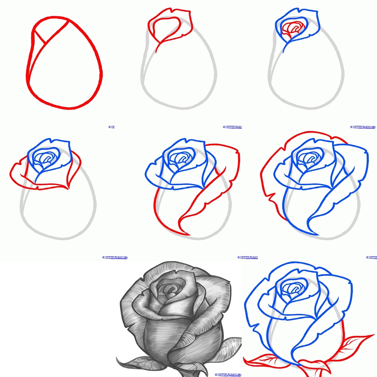 Desenho de Rosa: etapas para desenhar uma rosa fofa a lápis