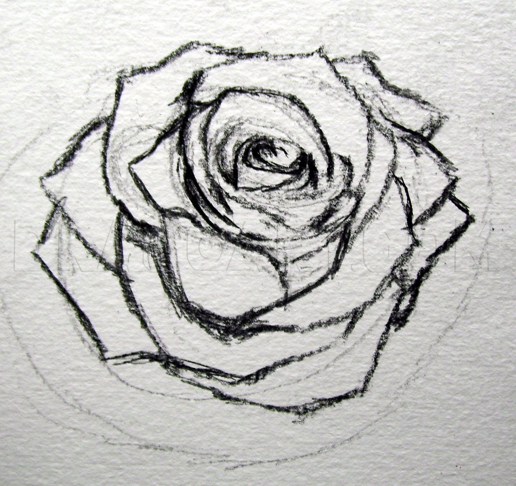 Desenho de Rosa: rosa simples e fofa a lápis para desenhar