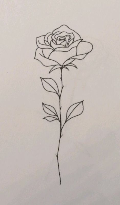 Desenho de Rosa: rosa simples e fofa a lápis para desenhar
