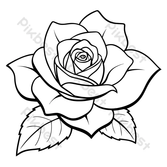Desenho de Rosa: rosa detalhada com folhas para desenhar