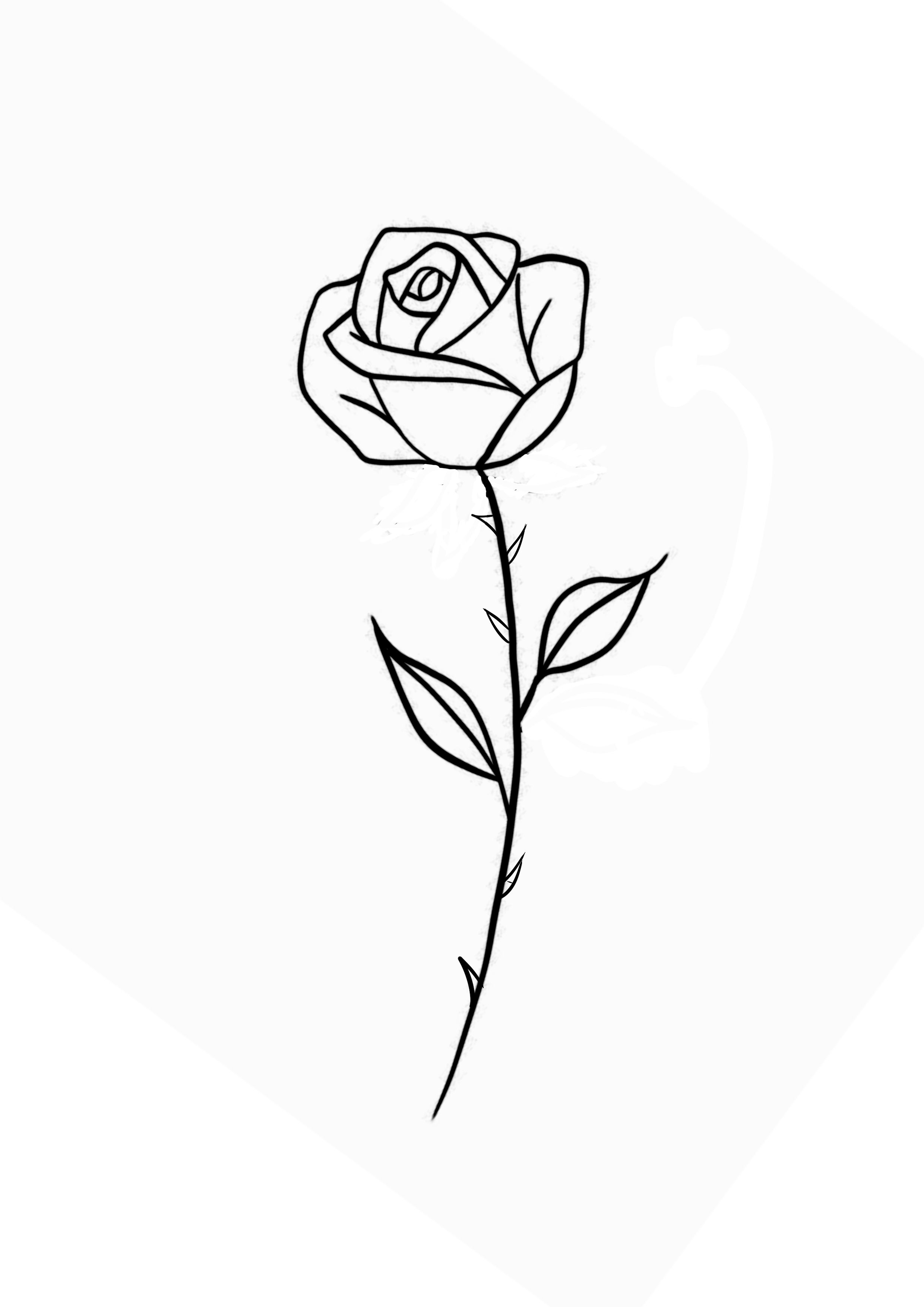 Desenho de Rosa: rosa simples e bonita a lápis para desenhar