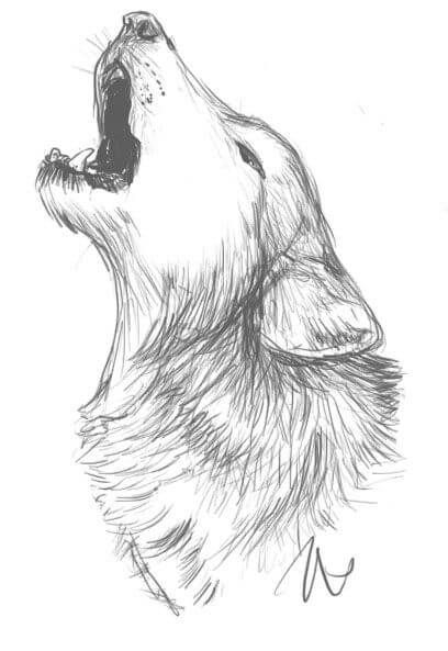Desenho para Desenhar de lobo uivando ao luar