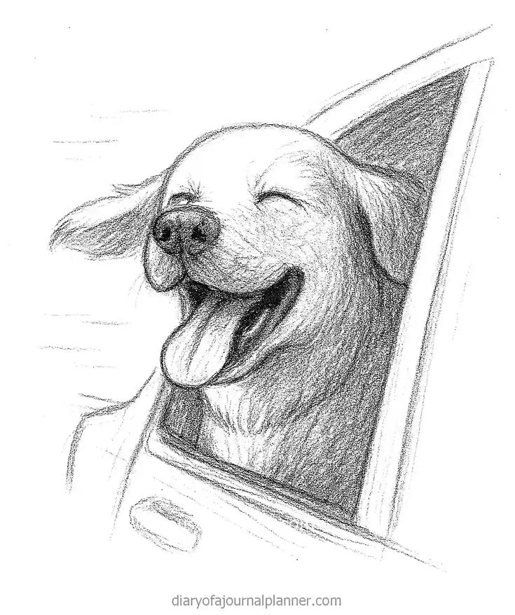 Desenho para Desenhar: Cachorro sorrindo na janela do carro