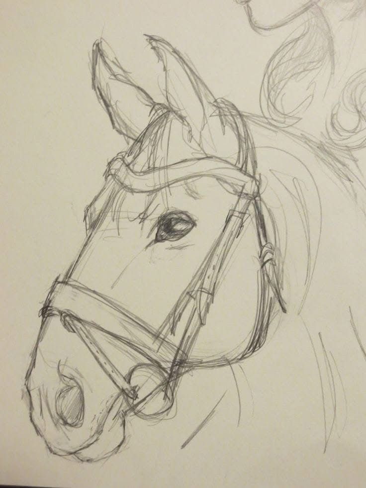 Desenho para Desenhar: Cabeça de cavalo esboçada
