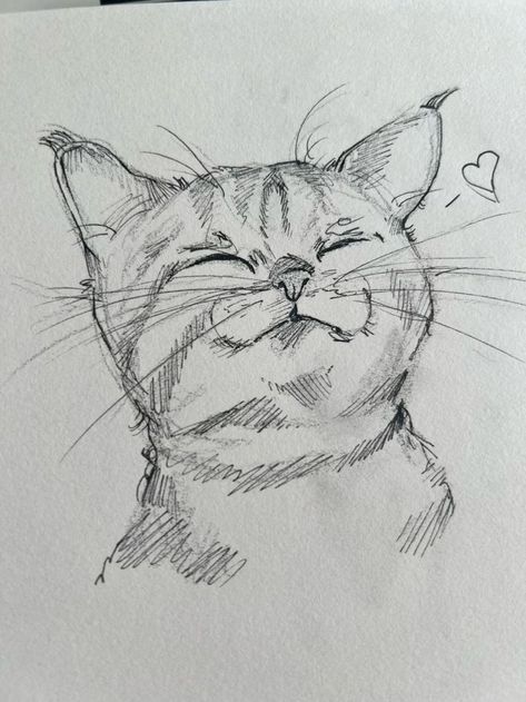 Desenhos para Desenhar de um gato sorridente e fofinho