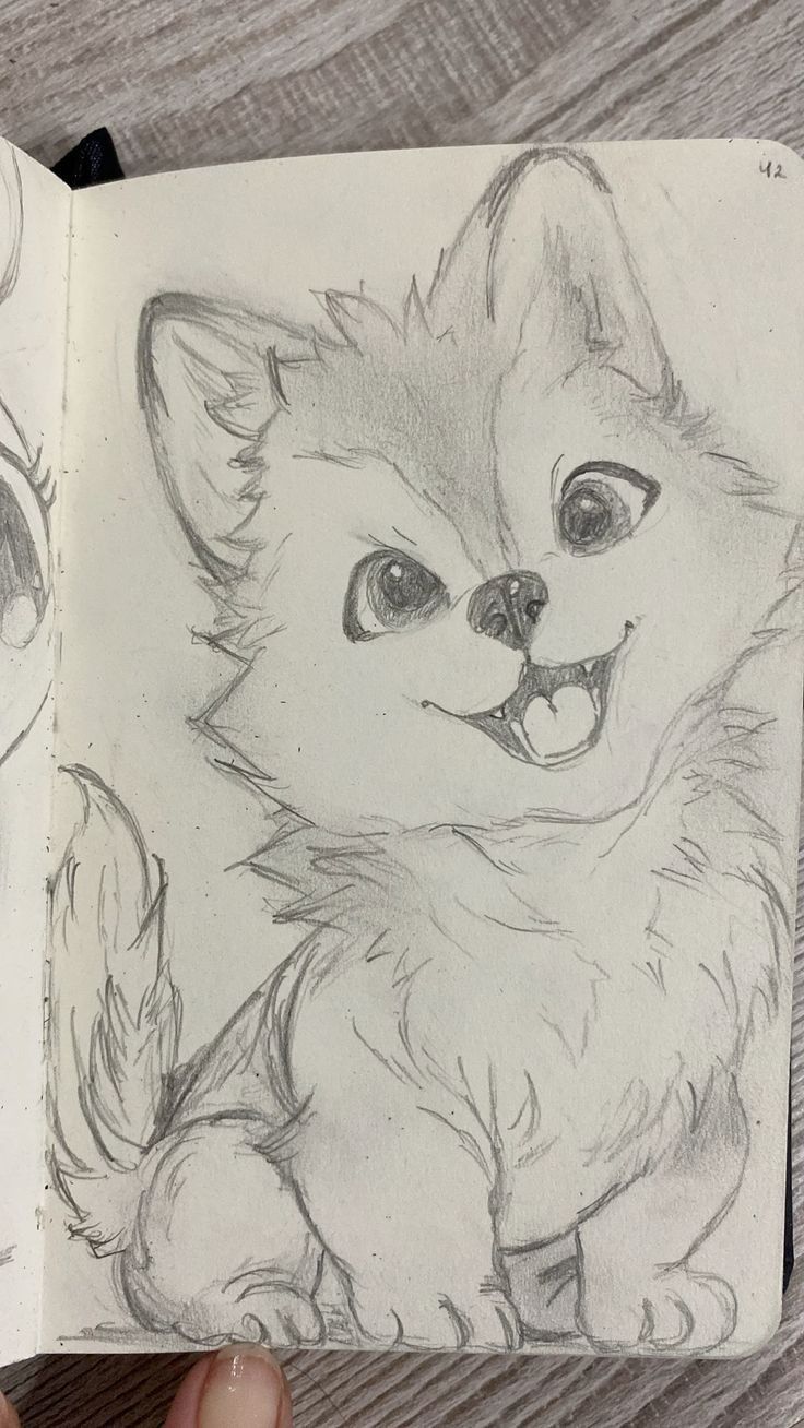 Desenho para Desenhar: cão fofo com pelos macios e expressão feliz
